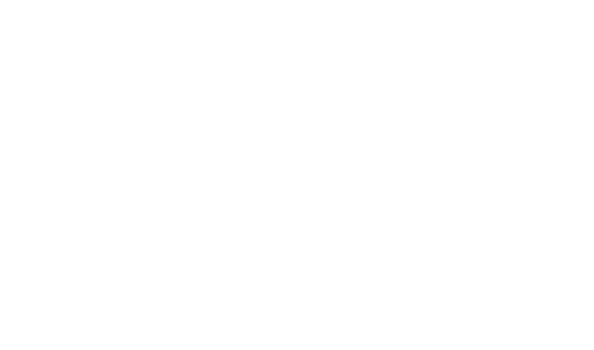 Malermeister Nedi
